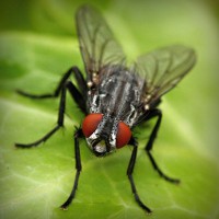 /album/la-psicomotricidad-en-lactantes/photolia-a01-jpg/