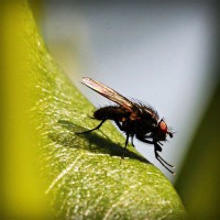 /album/la-psicomotricidad-en-lactantes/photolia-a04-jpg/