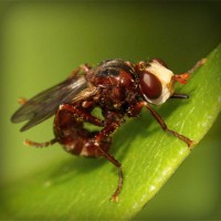 /album/la-psicomotricidad-en-lactantes/photolia-a06-jpg/