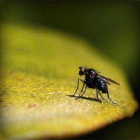 /album/la-psicomotricidad-en-lactantes/photolia-a07-jpg/