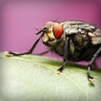 /album/la-psicomotricidad-en-lactantes/photolia-a08-jpg/